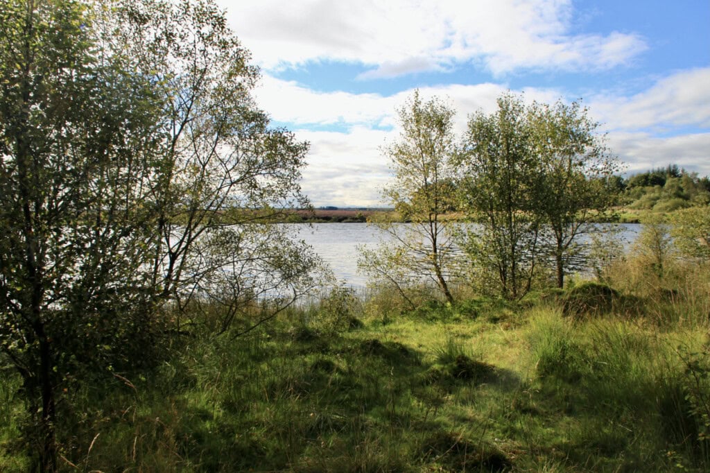 Fannyside Lochs