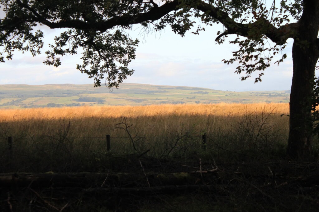 Palacerigg Country Park