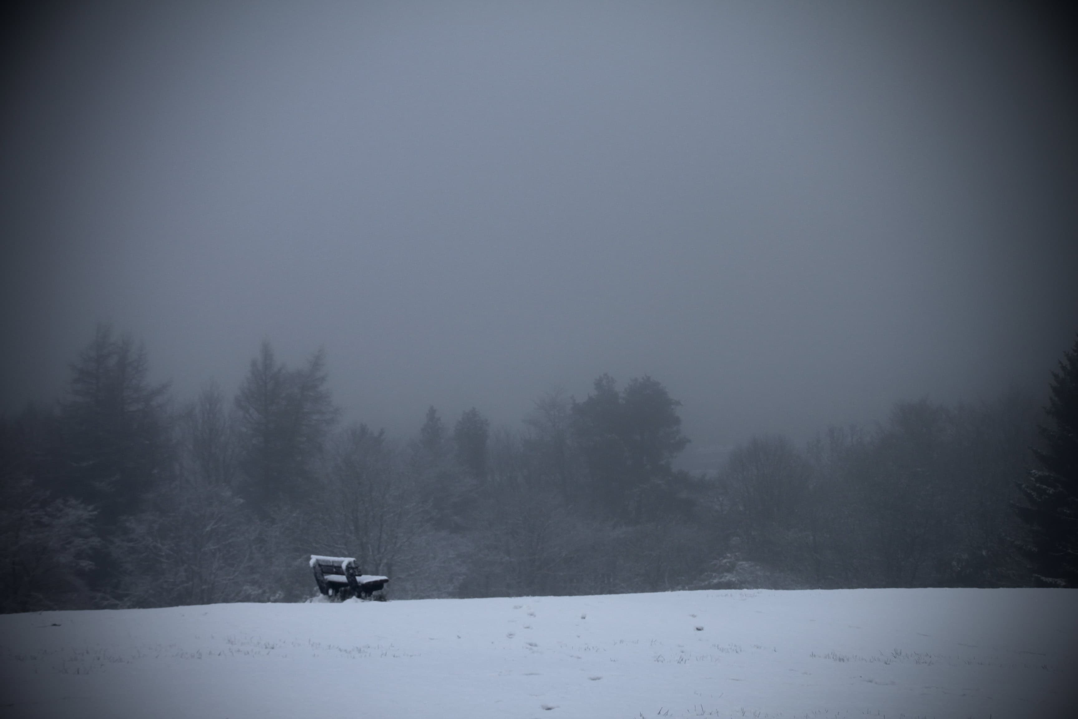 Wordless Wednesday Mar 03