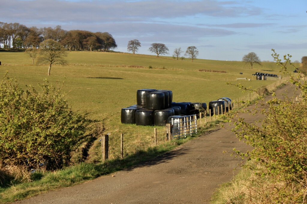 Plastic wrapped hay bales