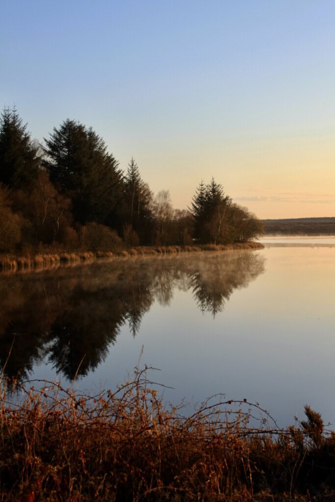 Tree reflections in Fannyside Lochs