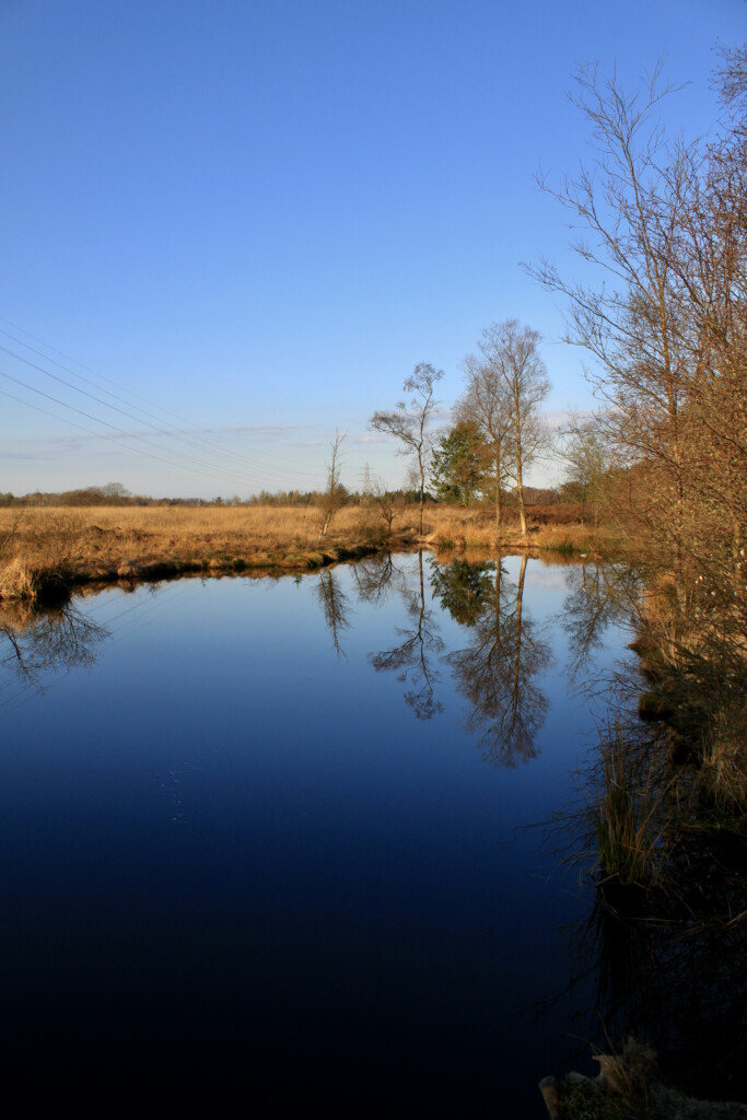 Reflections in a lochan