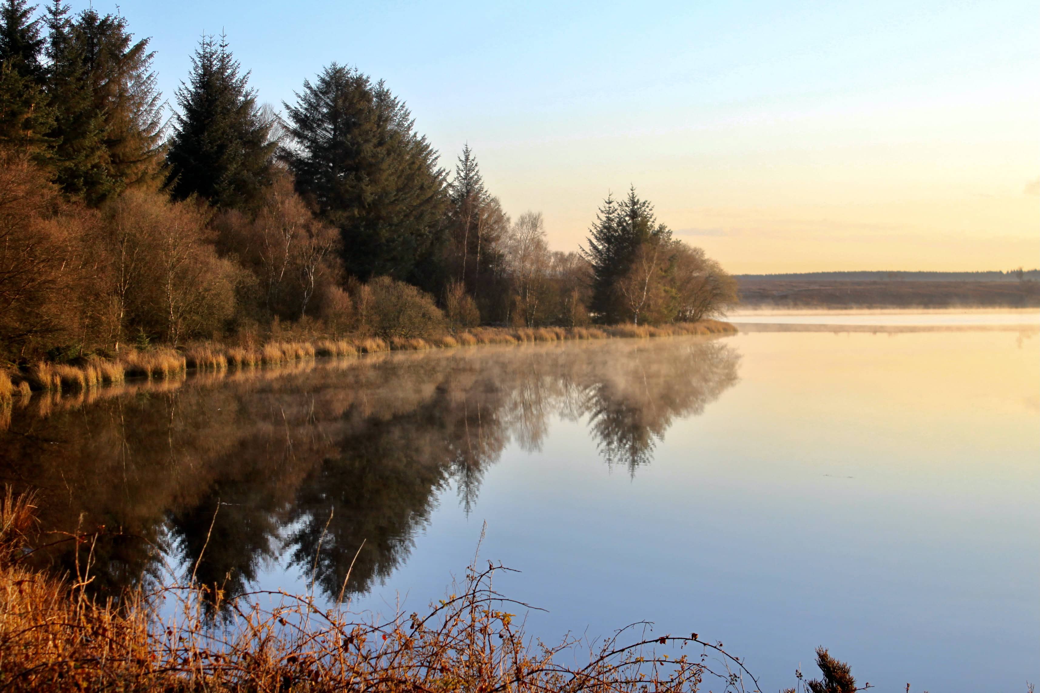 Reflections #10 — Water Water Everywhere #83