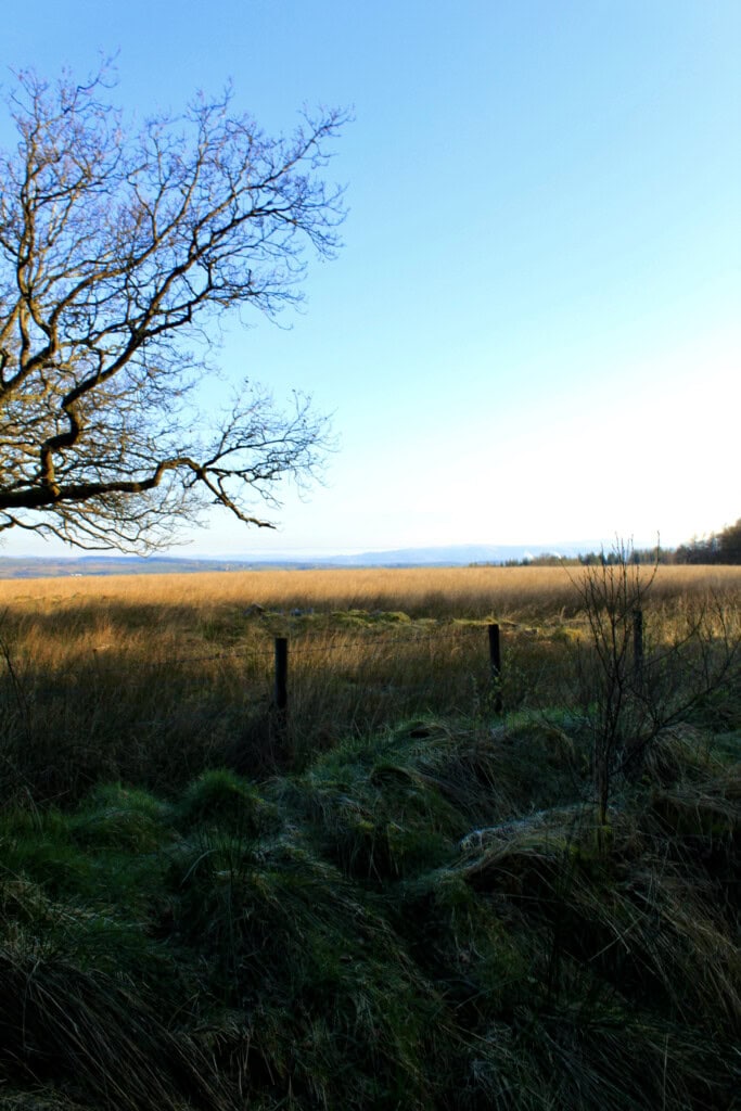Palacerigg Country Park
