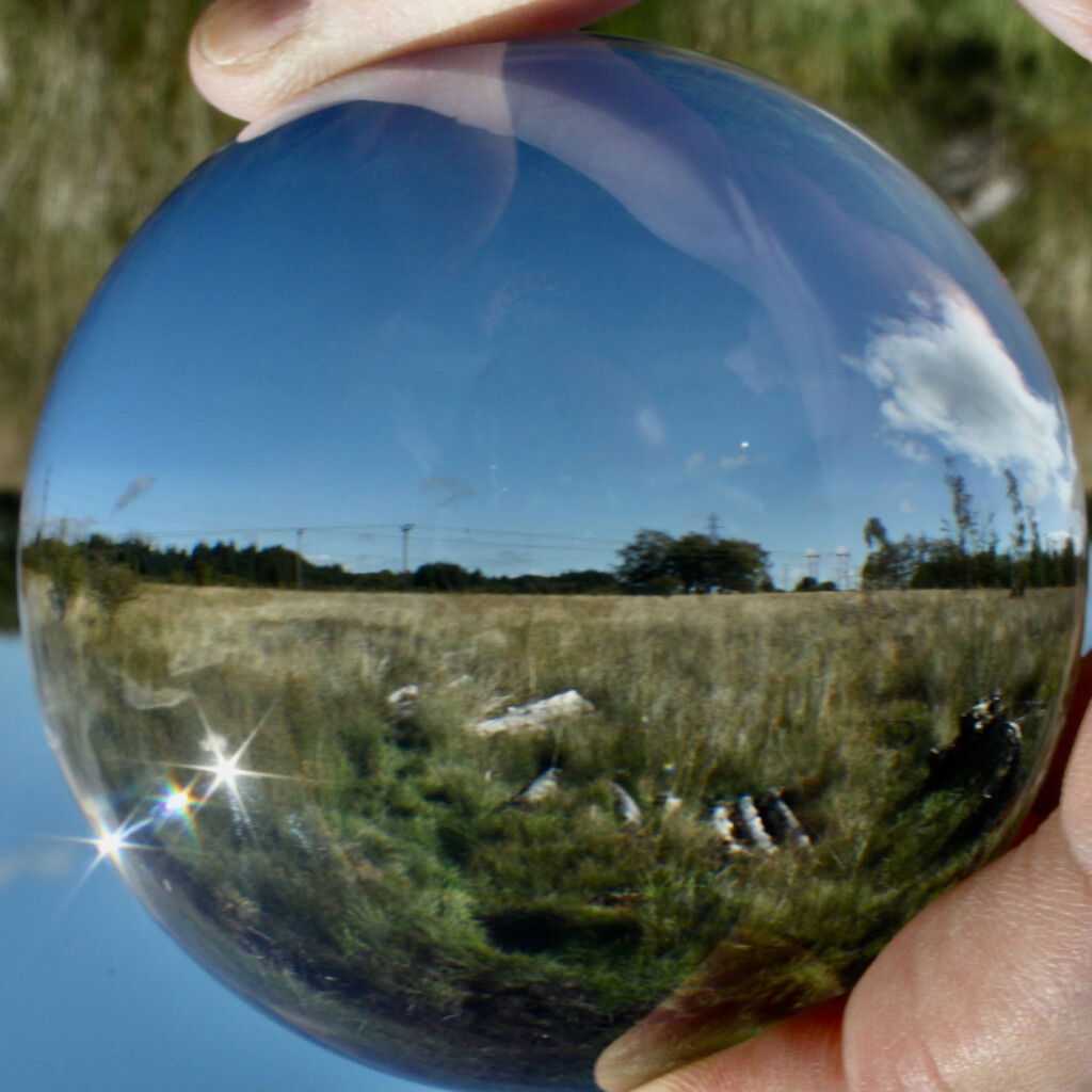 Landscape in a lensball