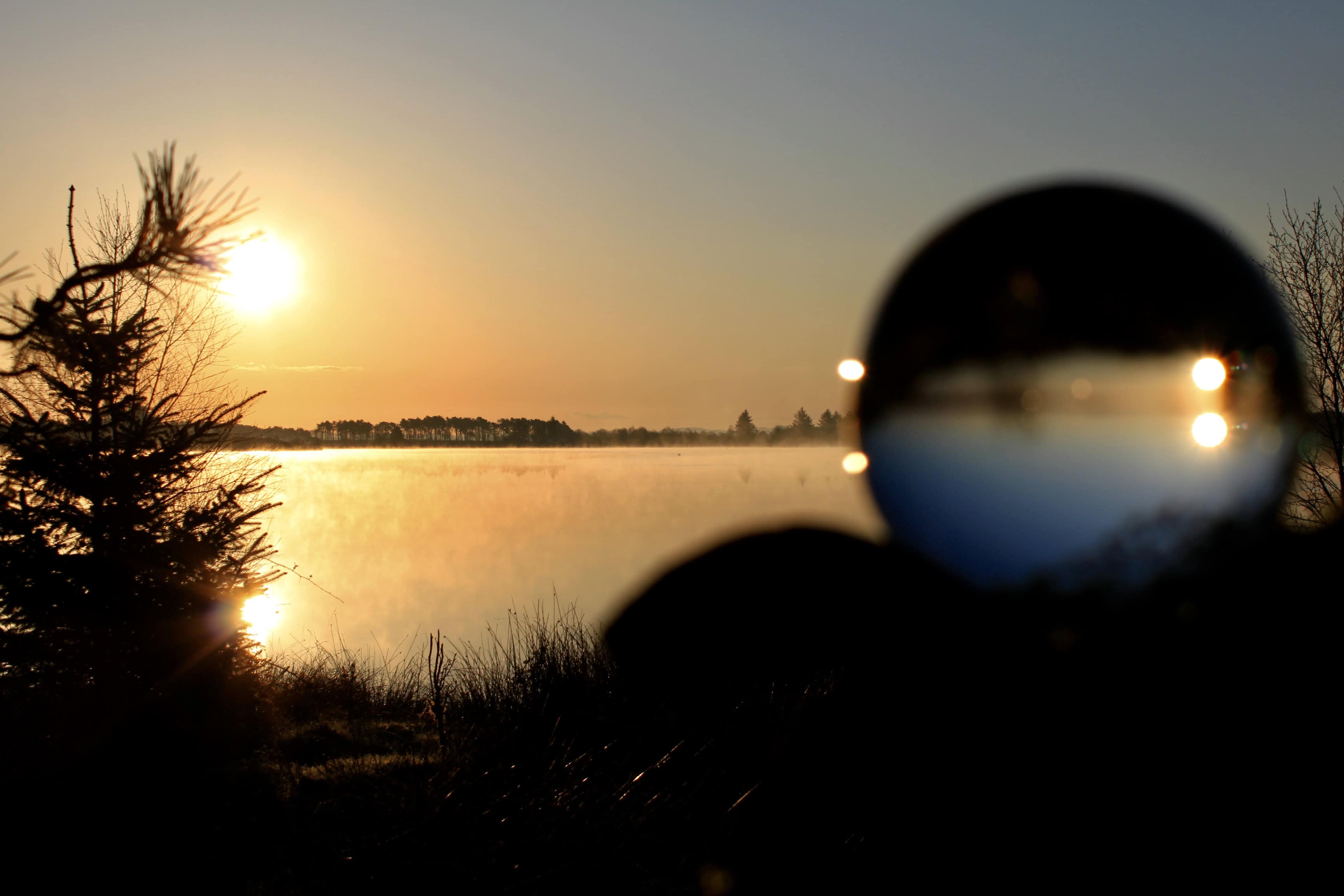 When Photography Goes Wrong — An Unfortunate Silhouette