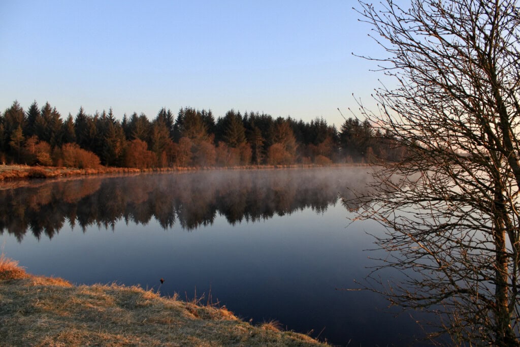 Reflections at Fannyside Lochs