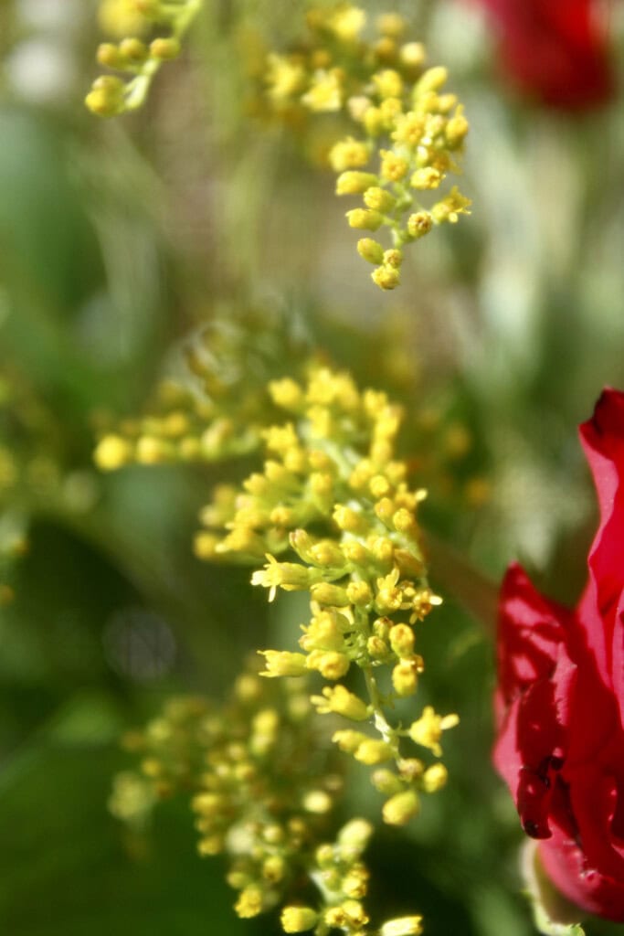 Bouquet filler