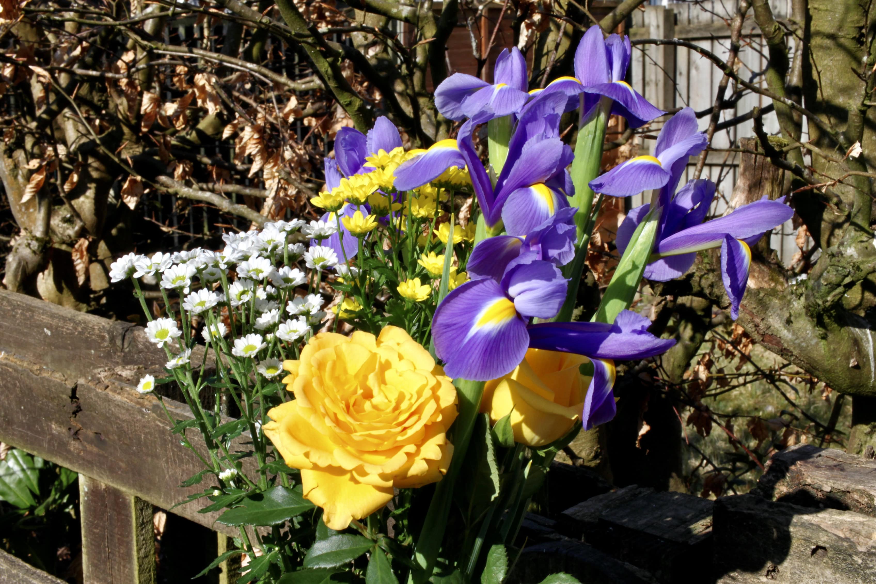 Spring Posy — FOTD May 09