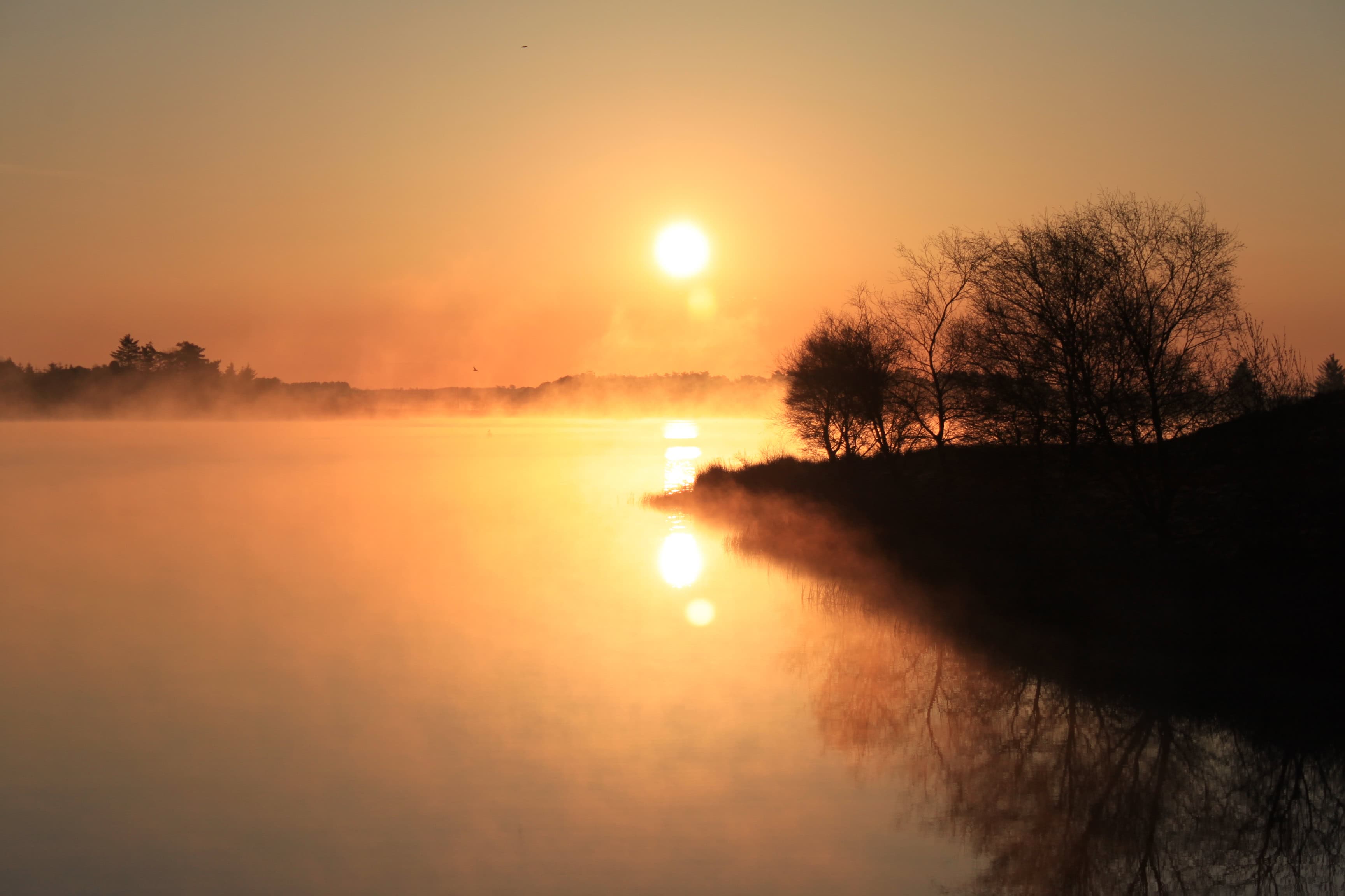 Reflections #5 — Water Water Everywhere #78