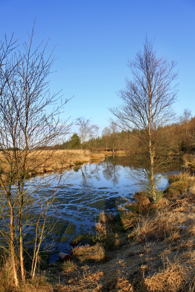 Reflections in a lochan