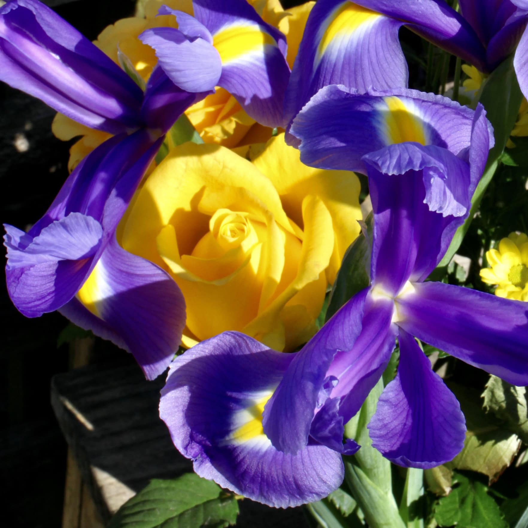 Brightness Surrounded — Bright Squares Apr 21