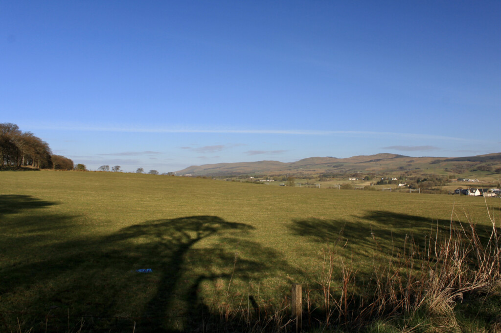 Spring landscape