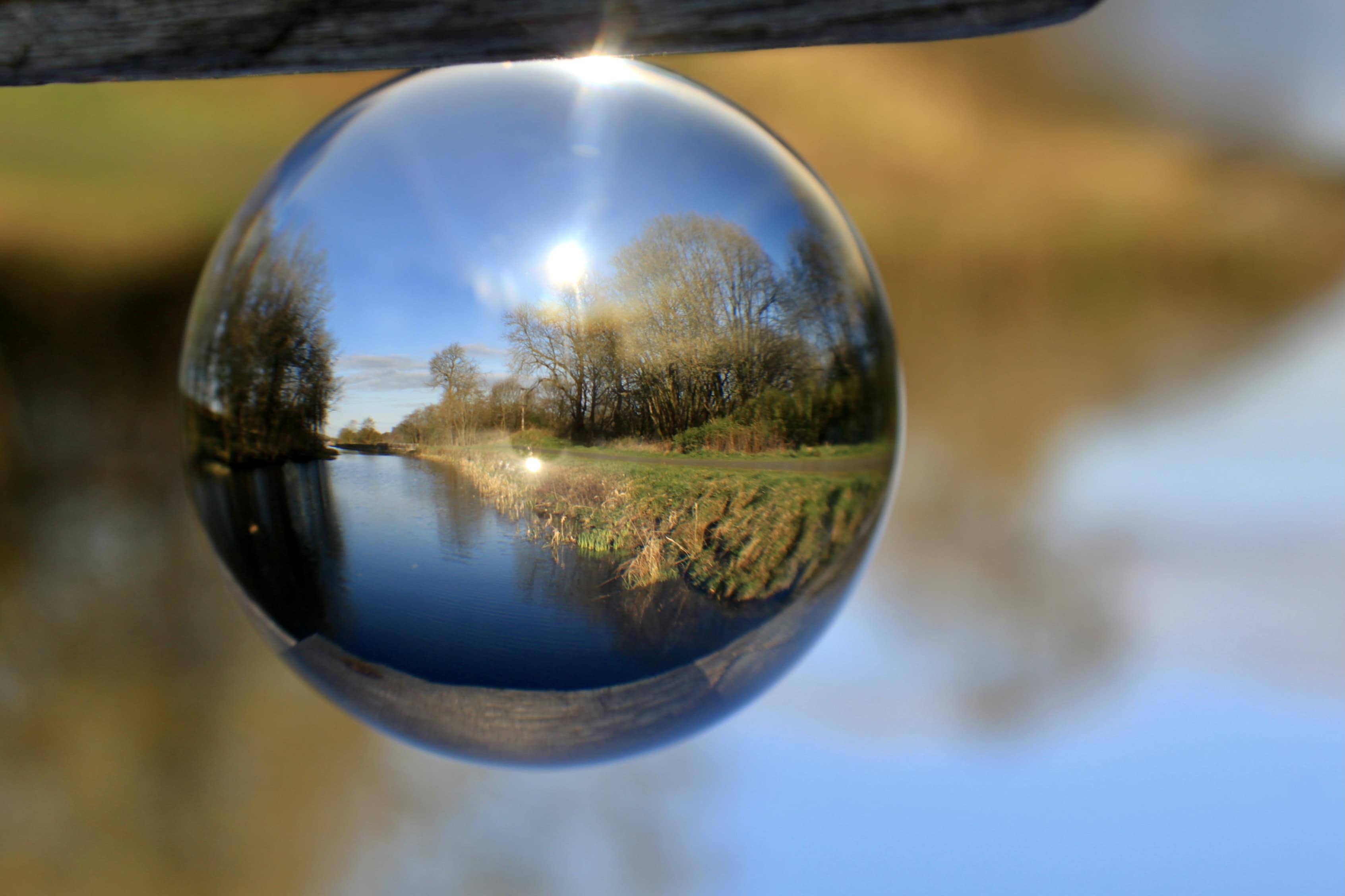 Blue and Green Together — Lens-Artists Challenge #149
