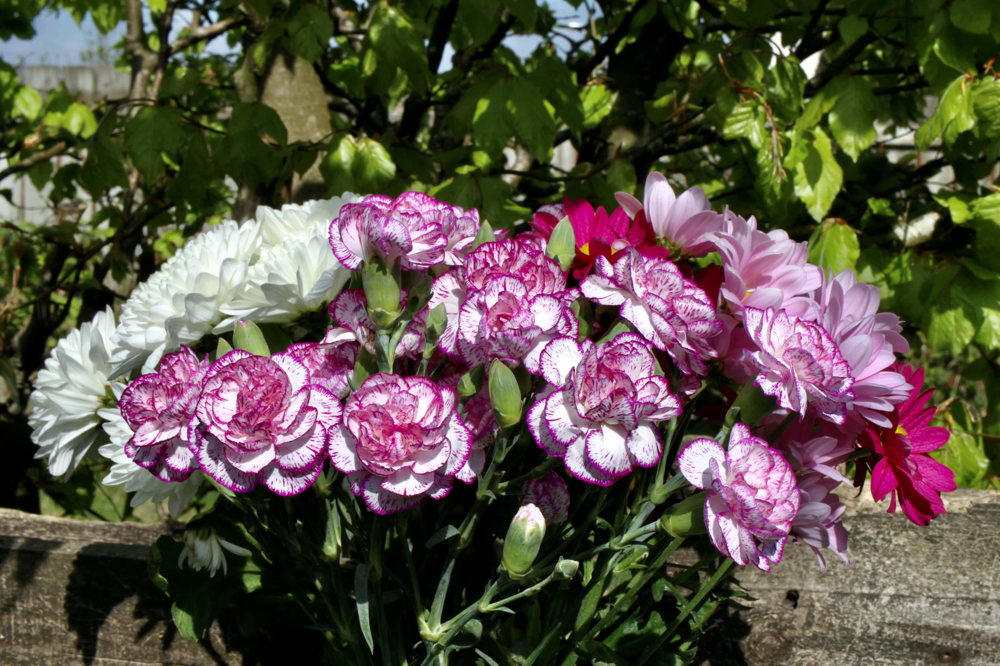 Bouquet — FOTD May 29