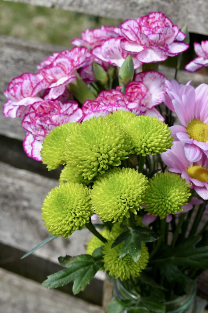 Green chrysanths
