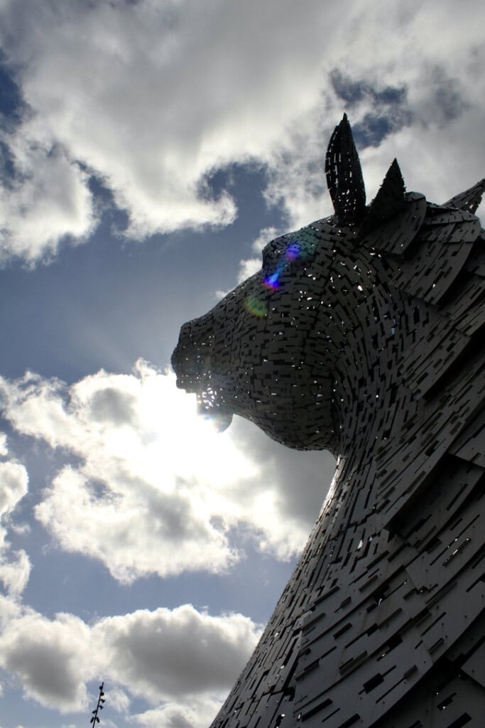 Kelpie taking a bite of the sun