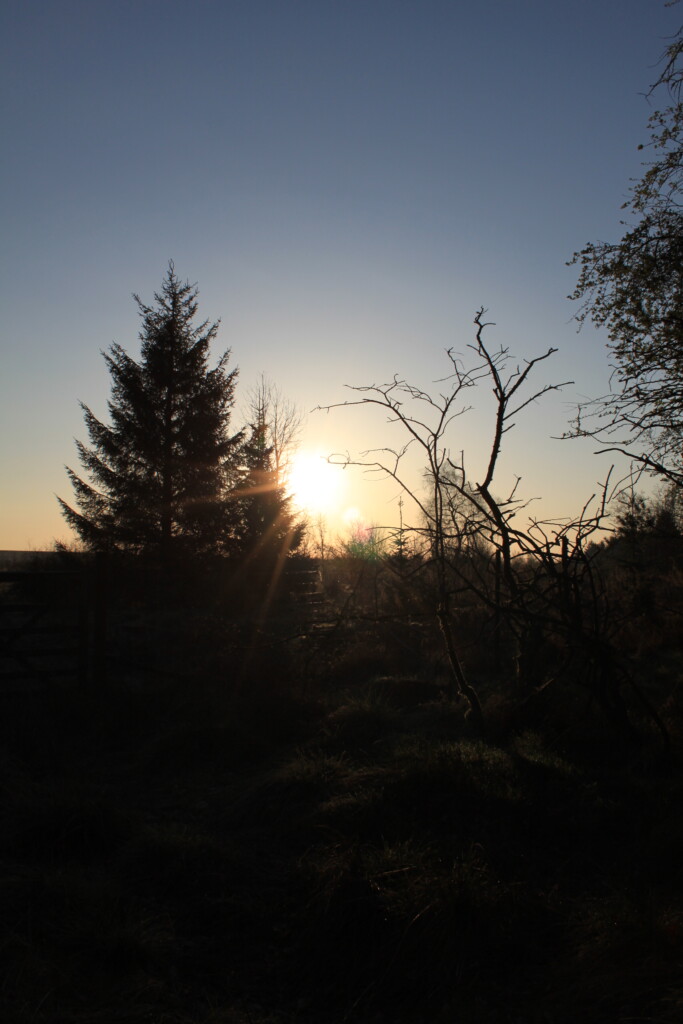 Palacerigg Country Park