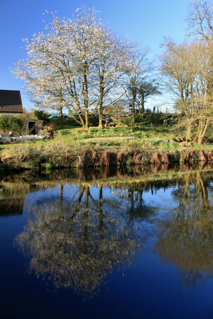 Sky & trees reflected in the canal