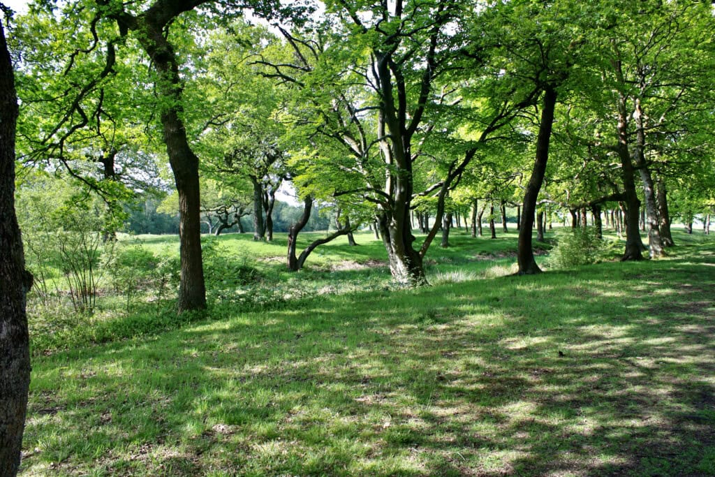 Site of Rough Castle Fort