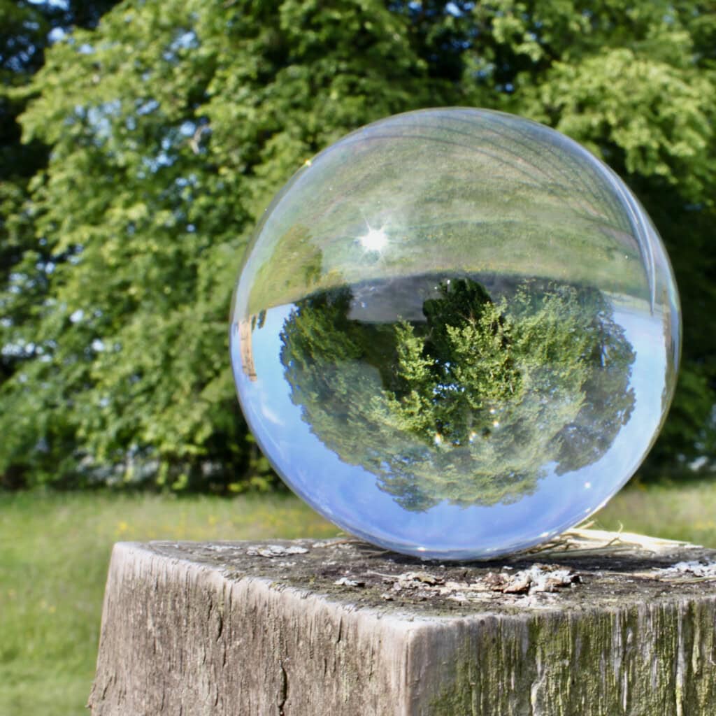 Tree in a lensball