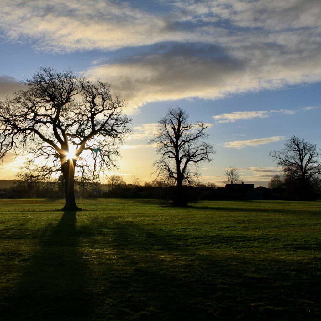 Sun & tree on left