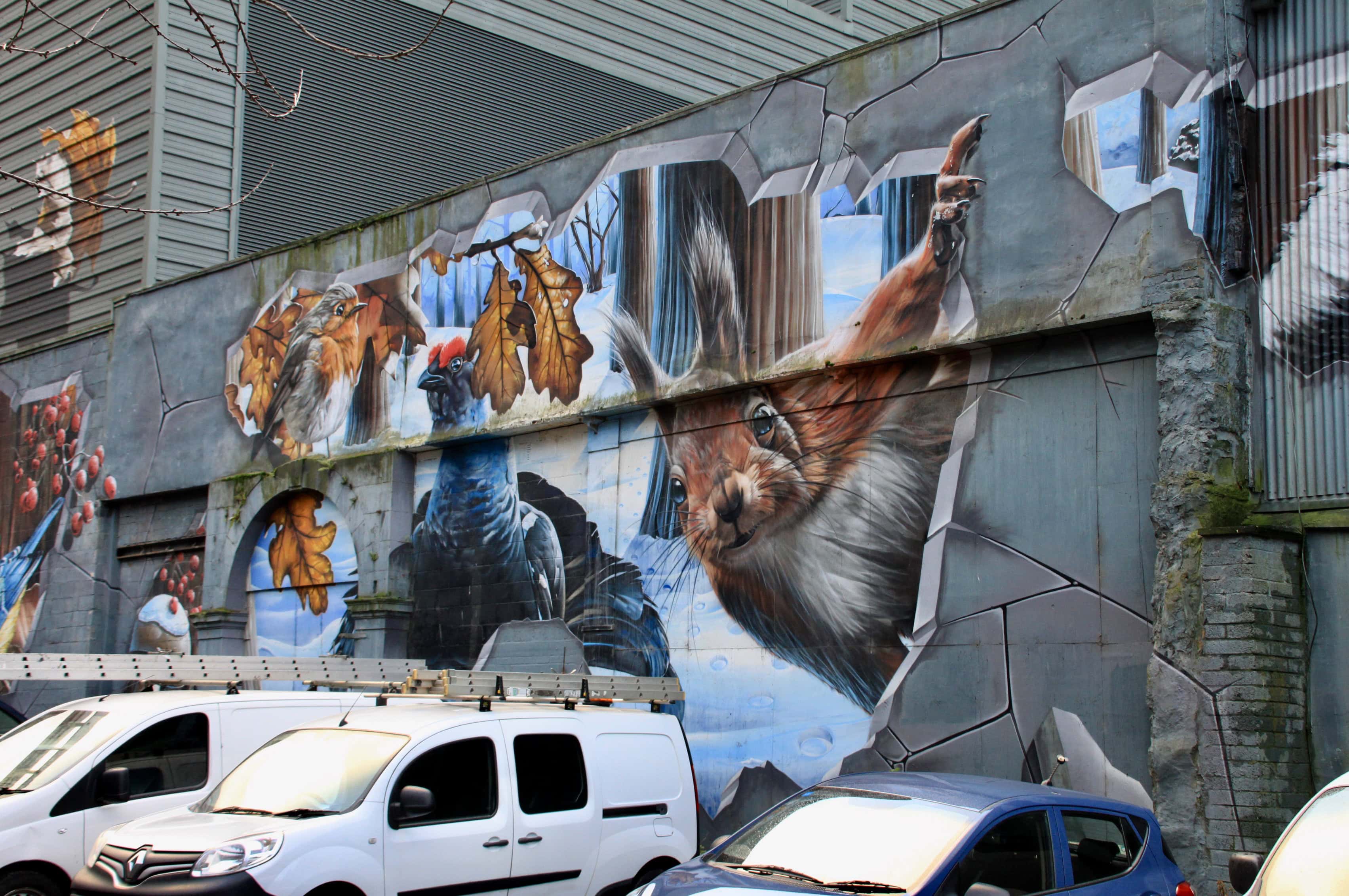 Nature in a Car Park — #PPAC #5