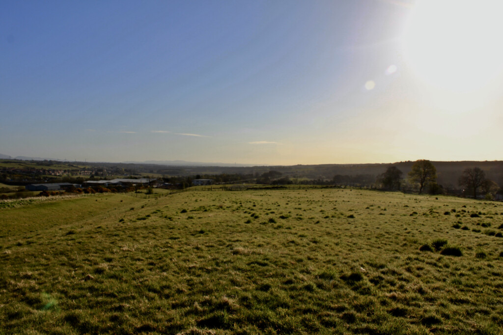 Old section of the Antonine Wall, looking east