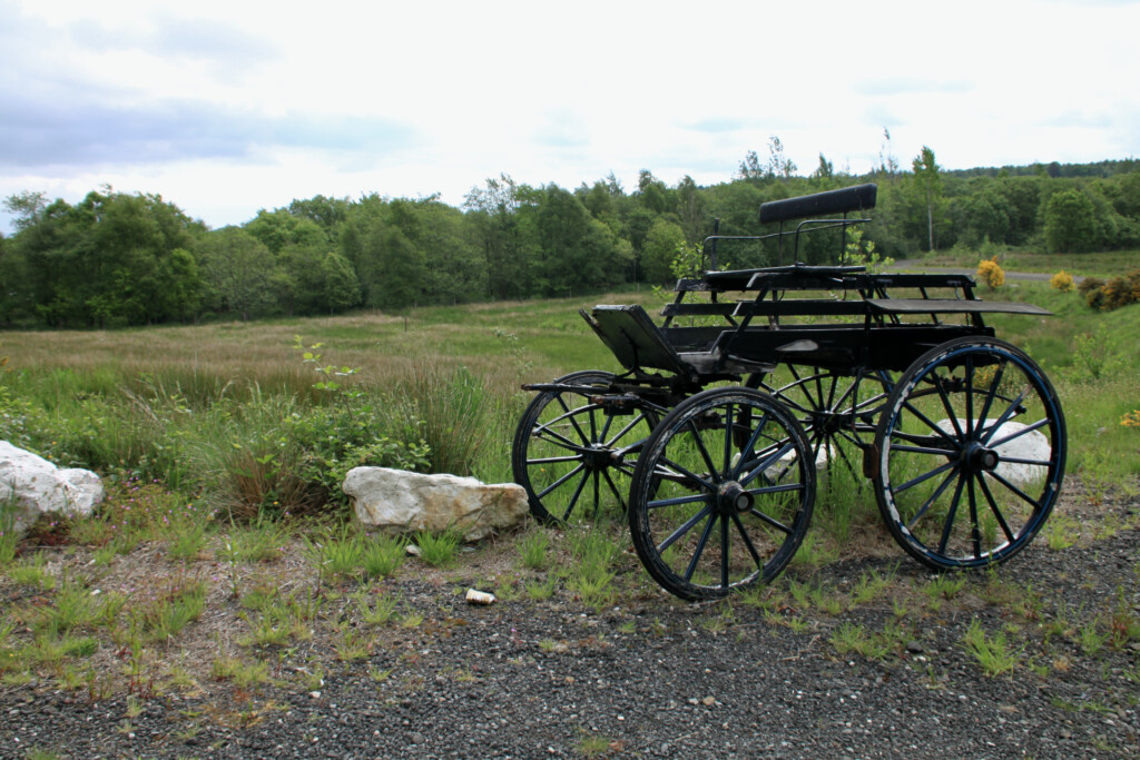 Old buggy