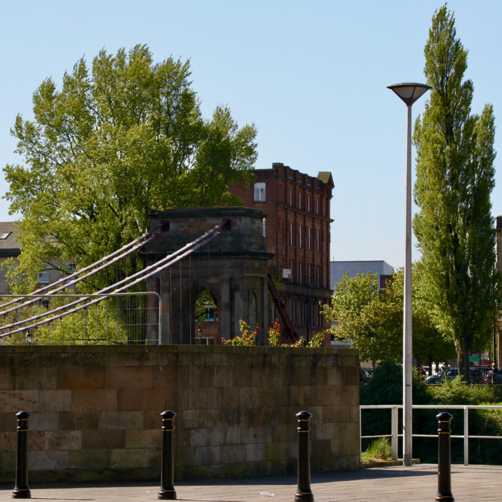 Trees in Glasgow