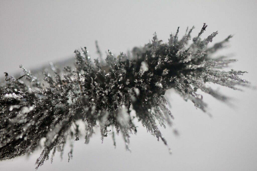 Iron filings