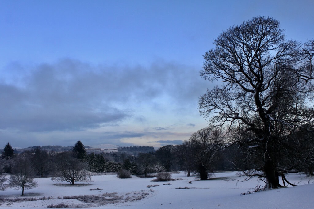 Cumbernauld House Park in the snow