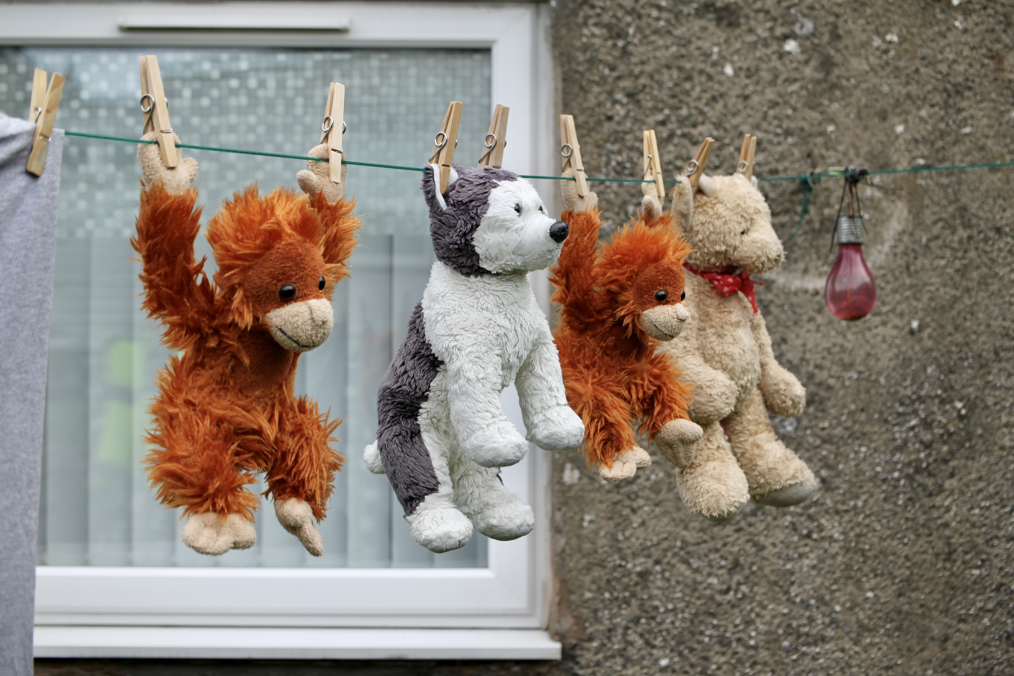 Just Hanging Around on Laundry Day