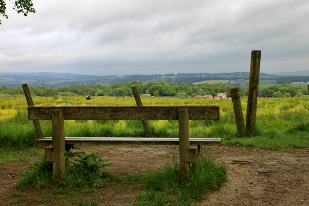 Seat with a view
