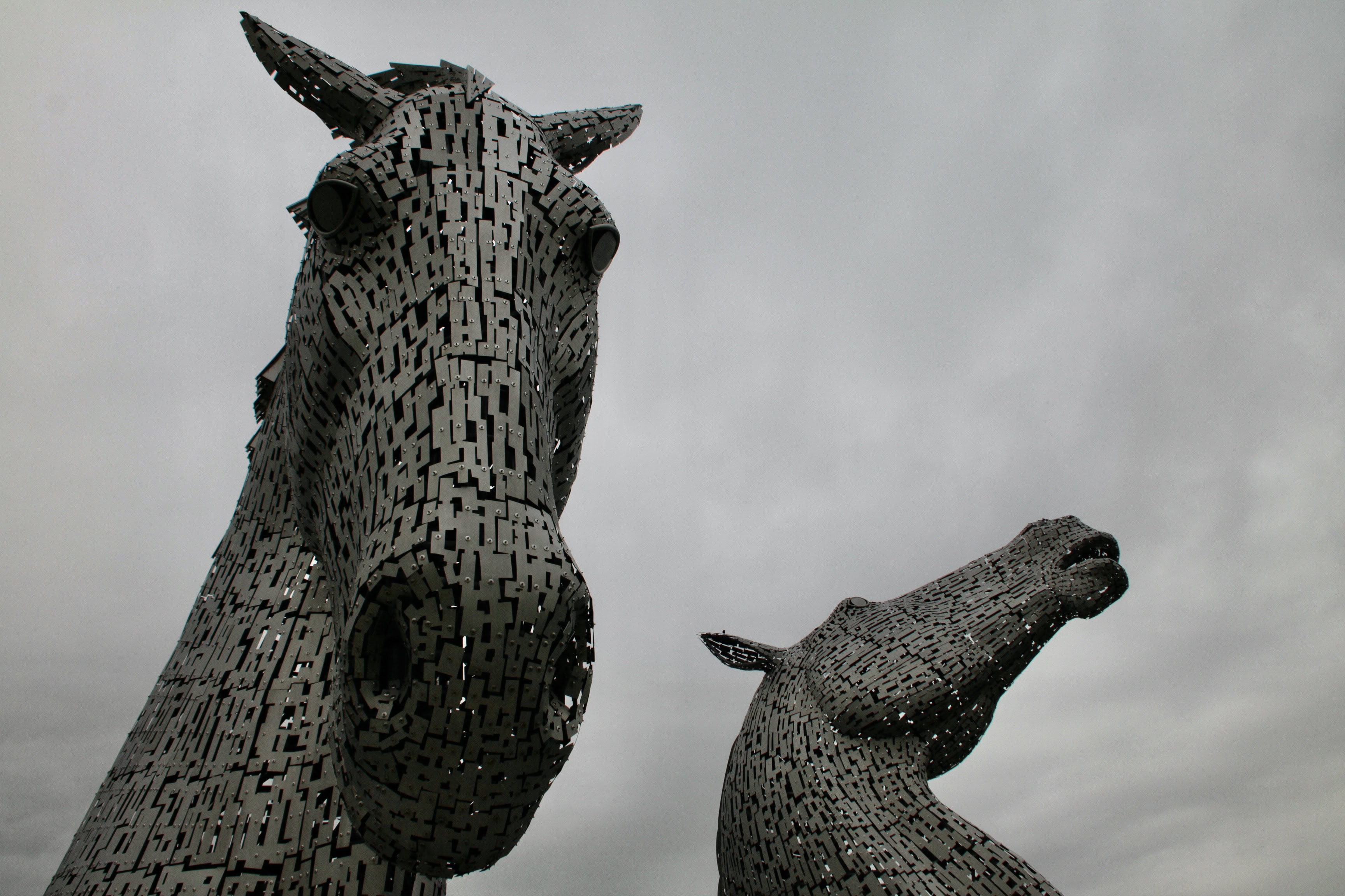 Kelpies — Monday Portrait 02 August