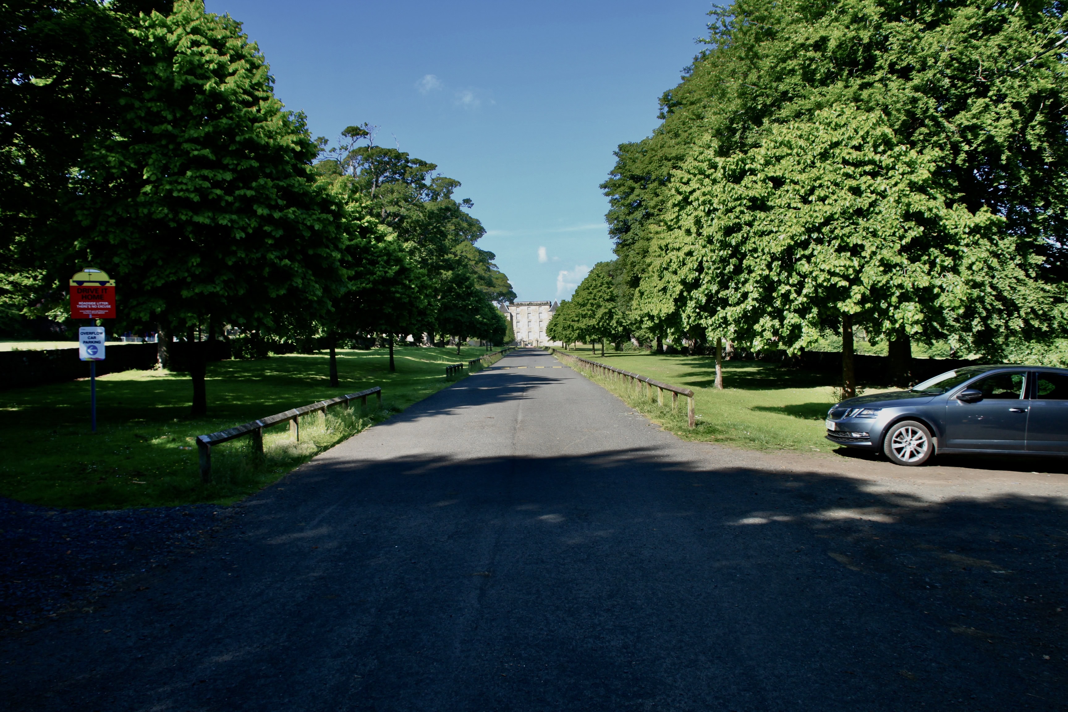 Leading the Way — #TreeSquare