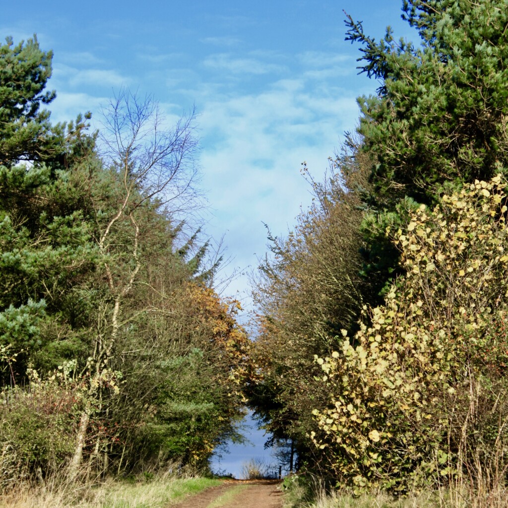 Sky above and below
