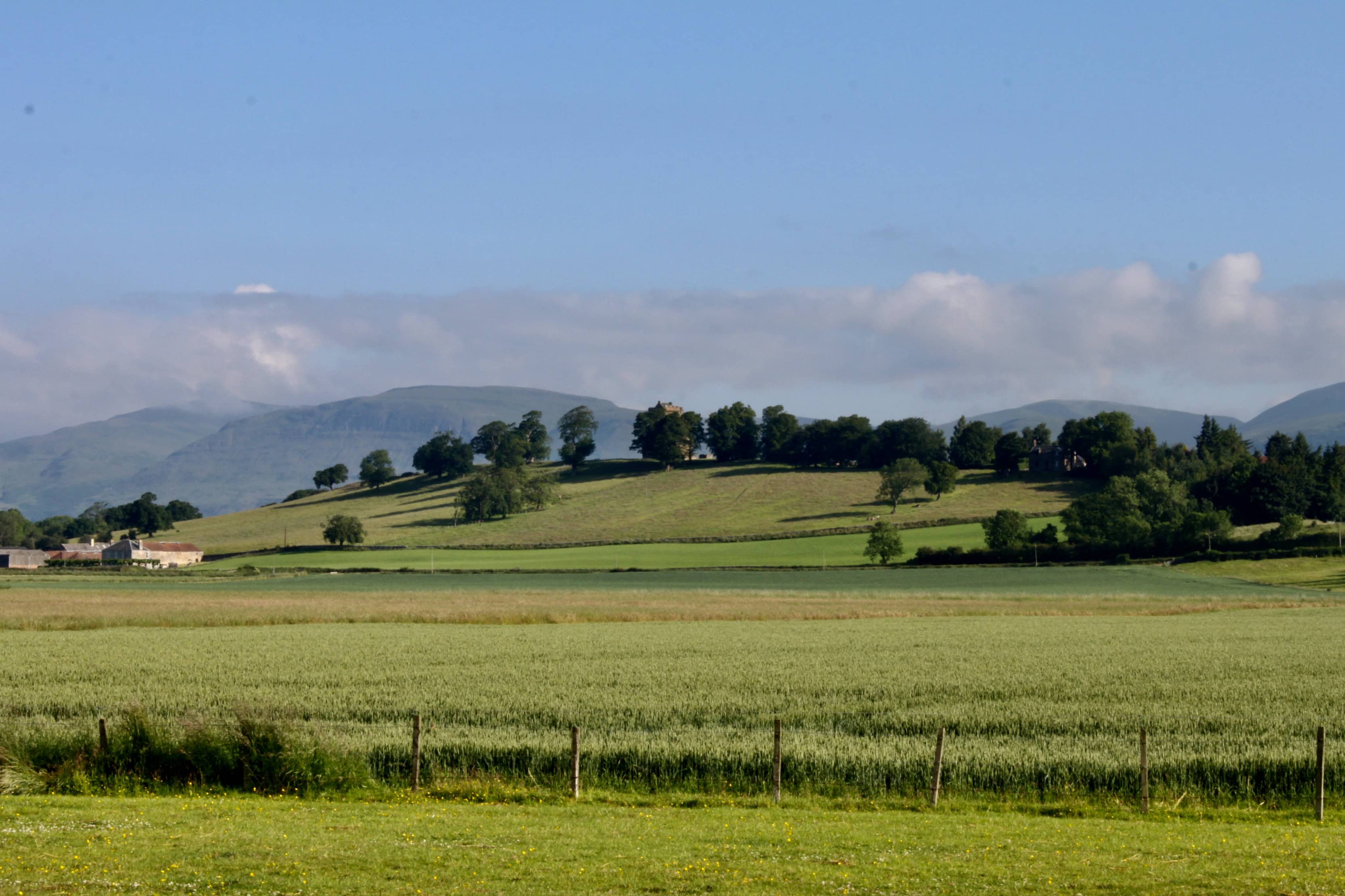Silent Sunday 04 July