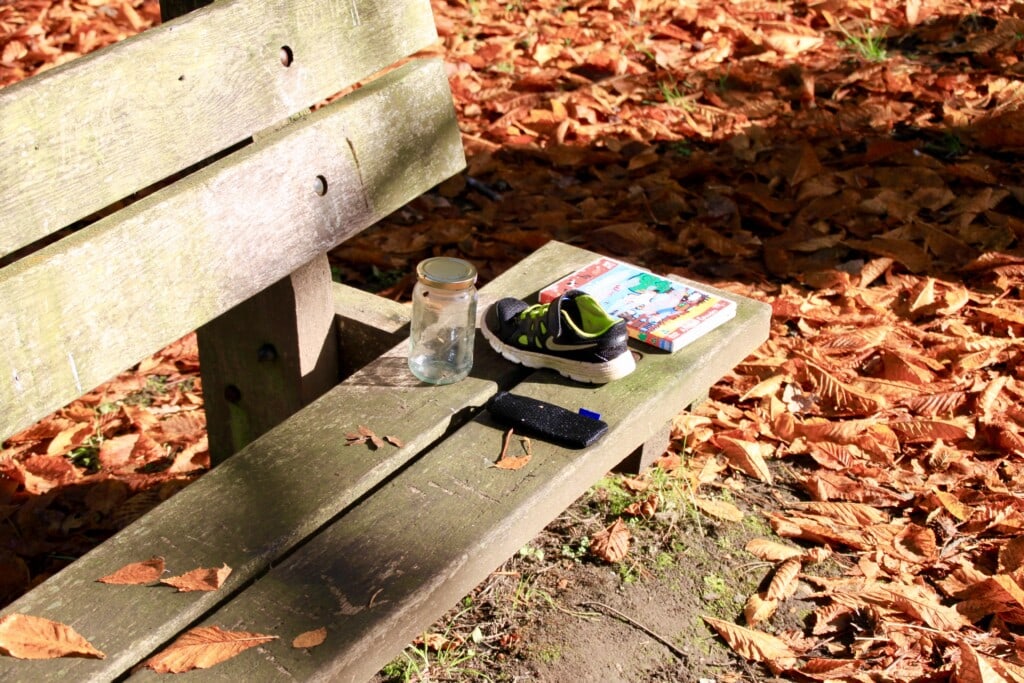 Lost in the park