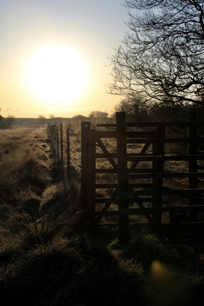 Low sun
