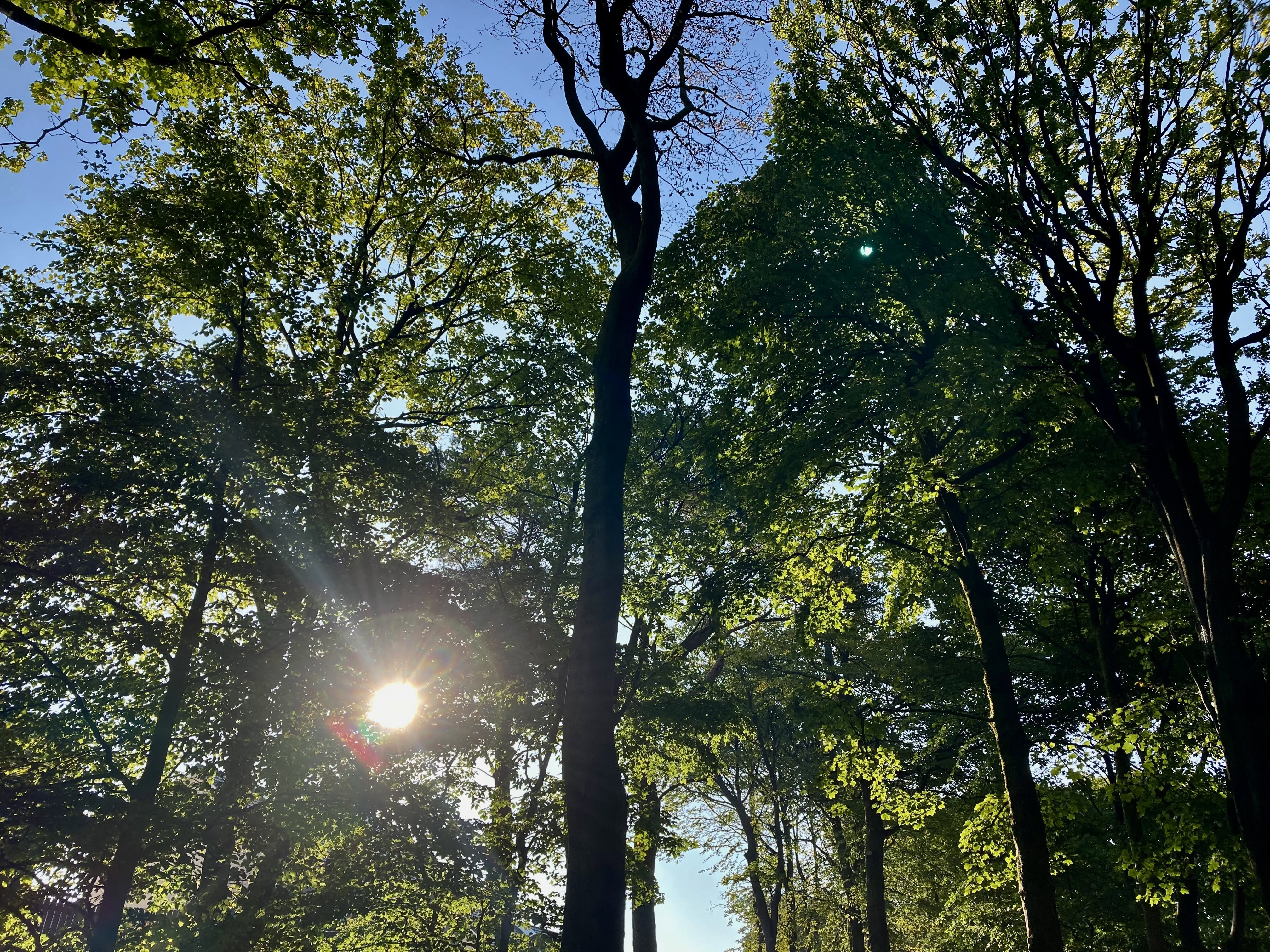 Silent Sunday sep 12