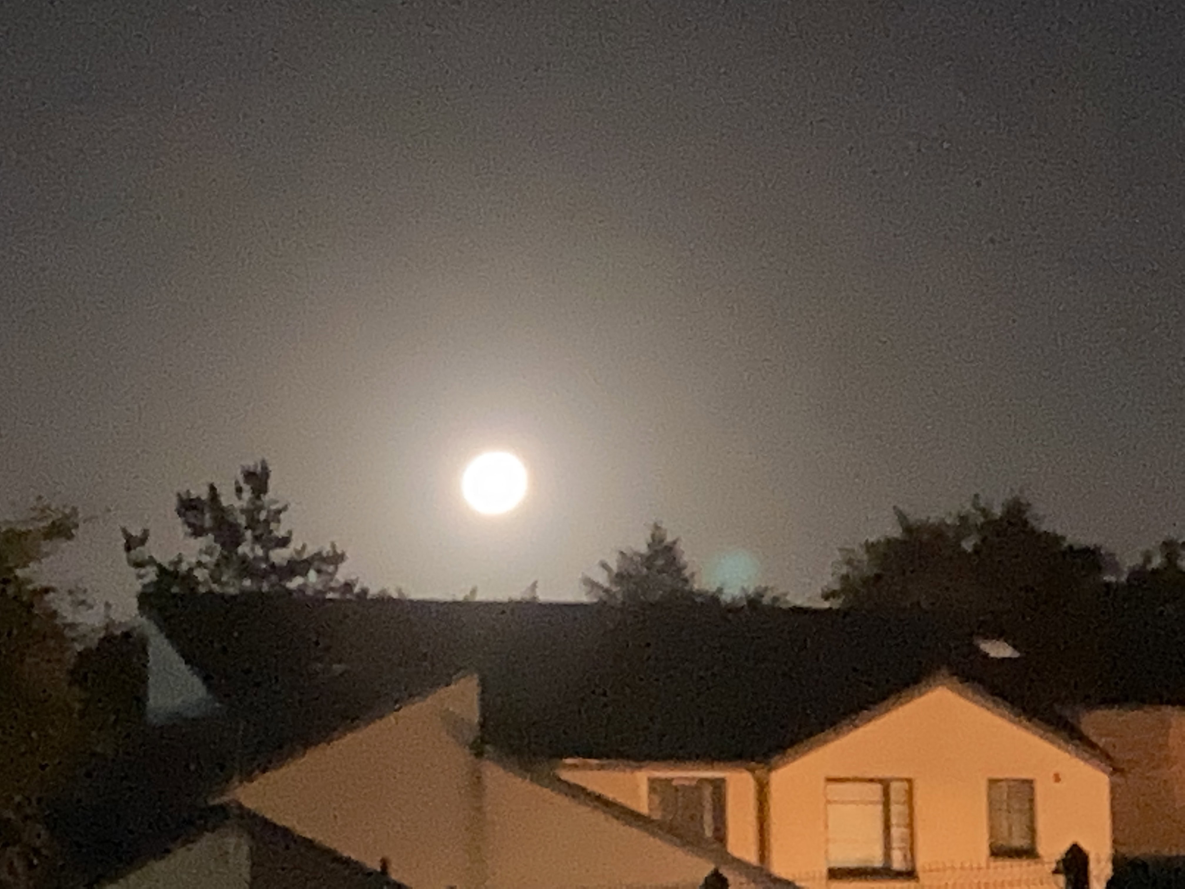 Unintended Effects — Cellpic Sunday