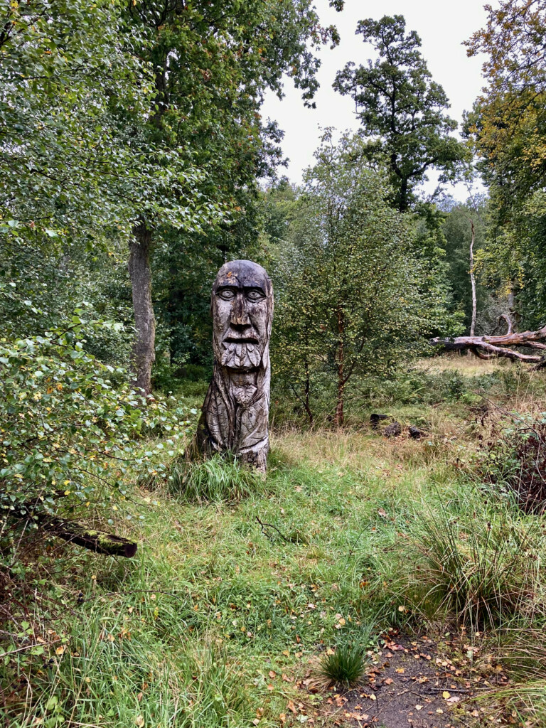 Wooden head carving in Palacerigg Country Park