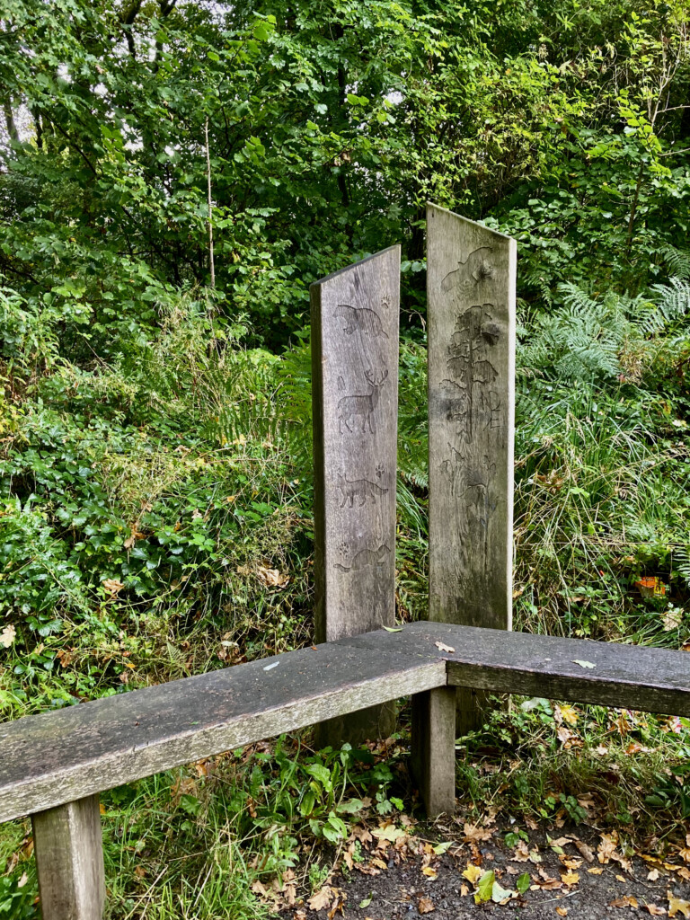 Seat in The Glen
