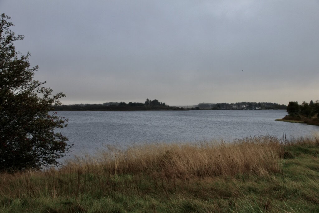 Fannyside Lochs