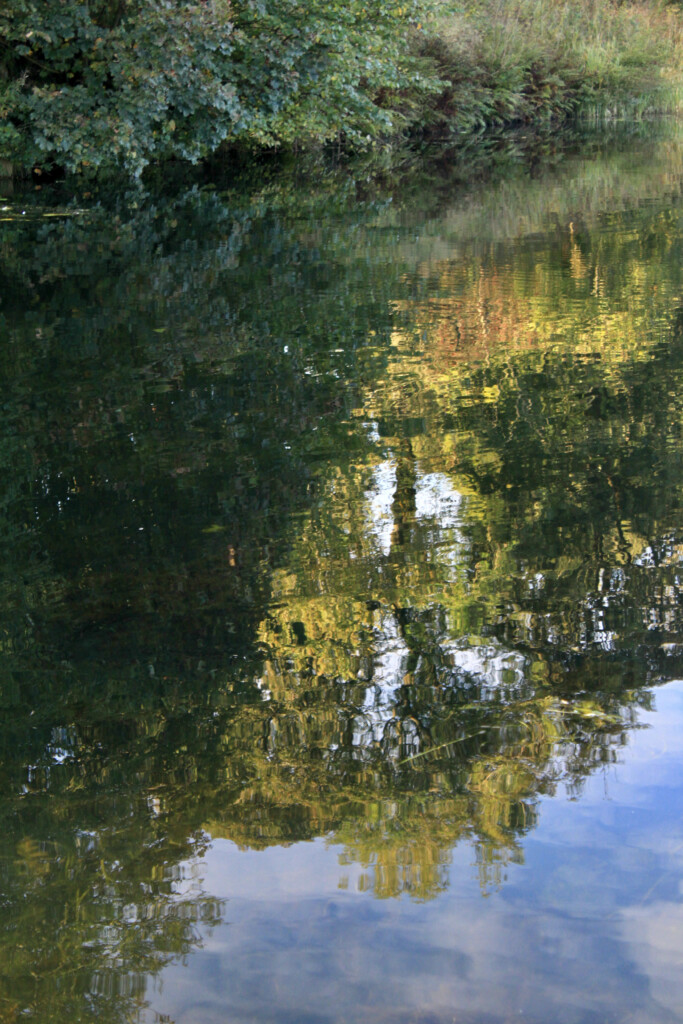 Reflected trees in the Forth & Clyde Canal