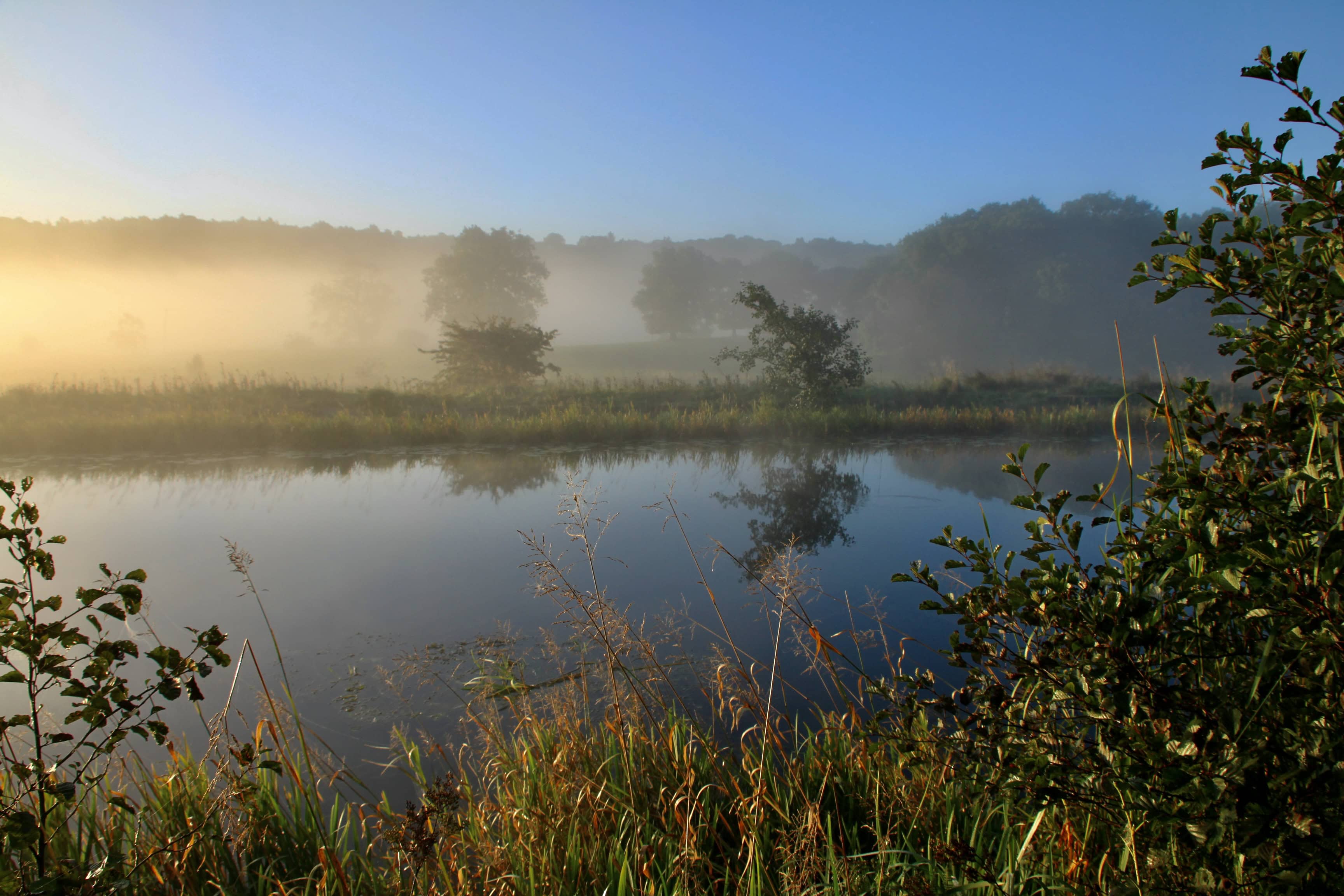 Silent Sunday Oct 10