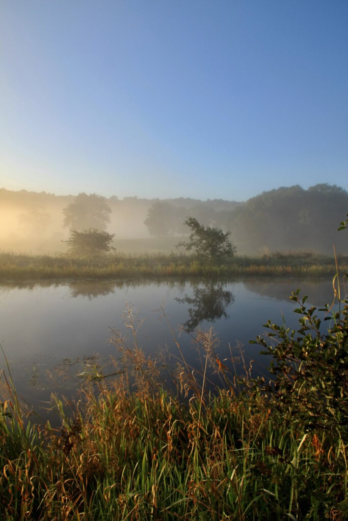 Misty morning on the Forth & Clyde Canal