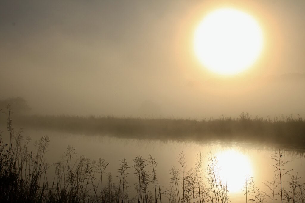 Misty Forth & Clyde Canal