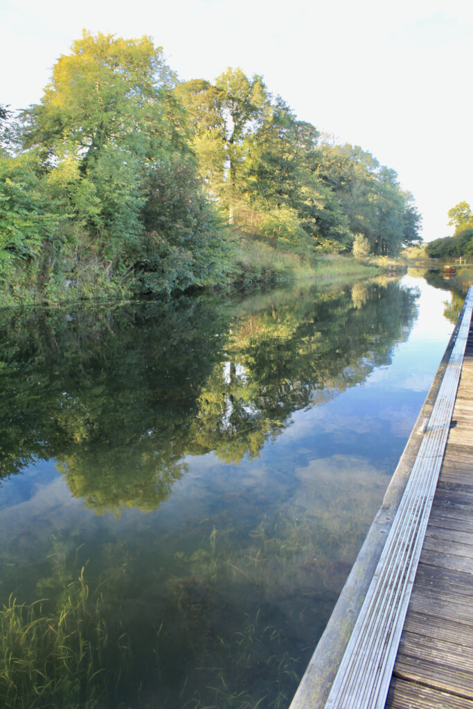 Reflected trees in the Forth & Clyde Canal